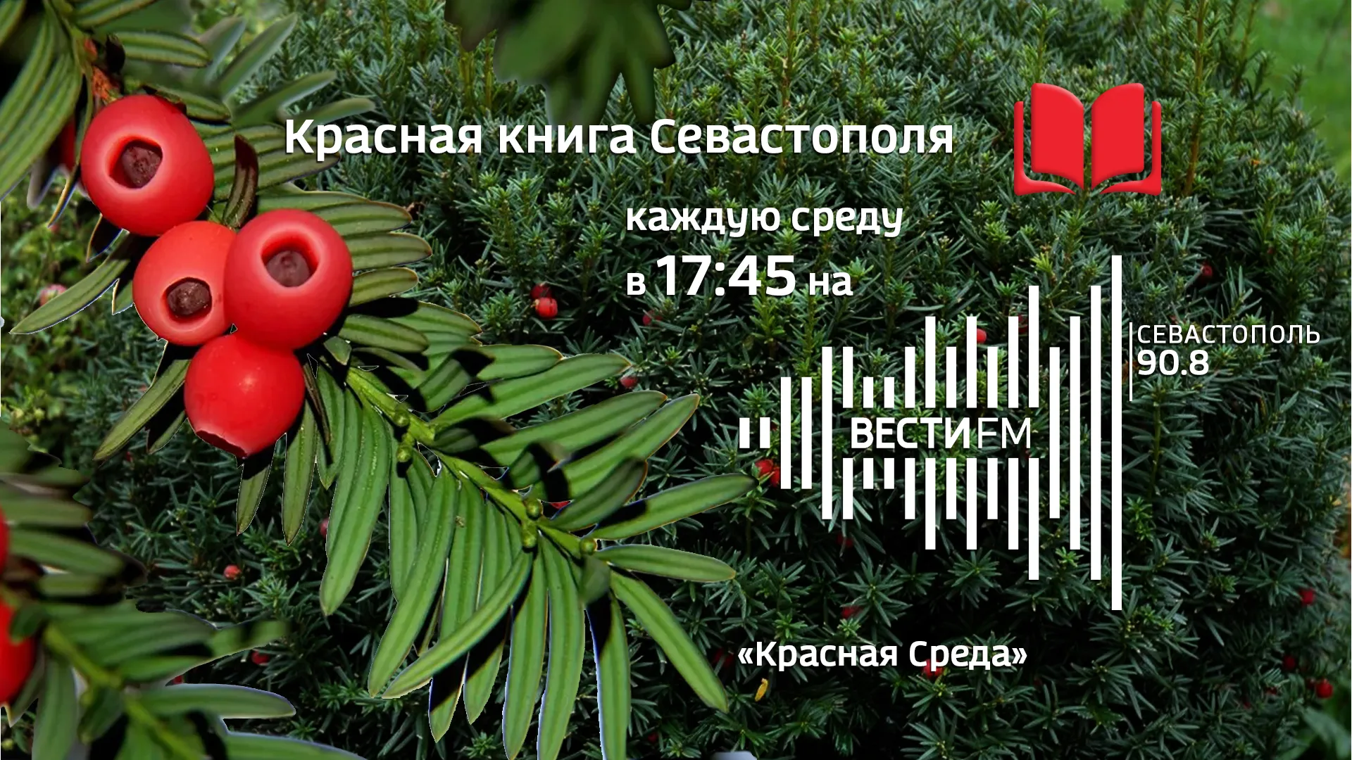 Красная среда